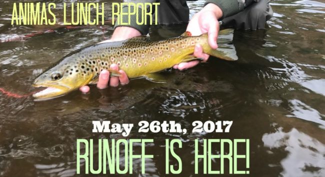 ALR-Runoff is Here