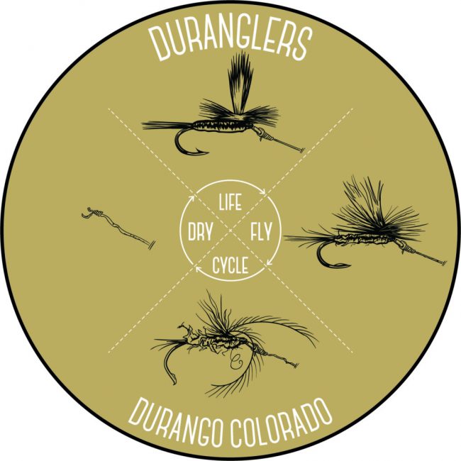 Dry Fly Life cycle sticker