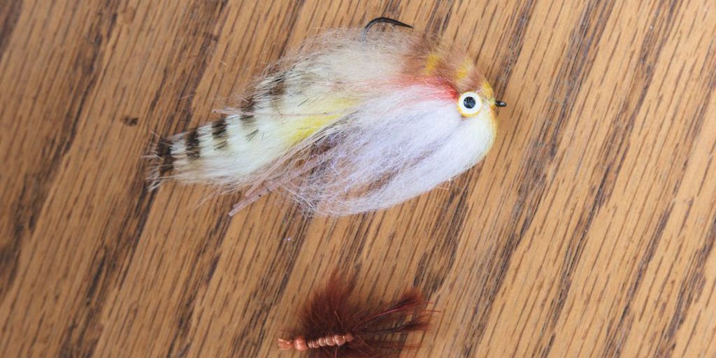 Two Flies Lunch Money and Son of Crazy Dad