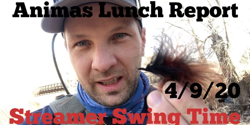 streamer swing time animas lunch report