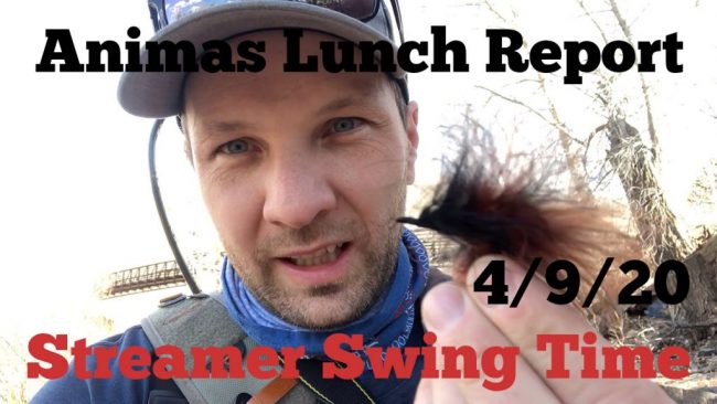 streamer swing time animas lunch report