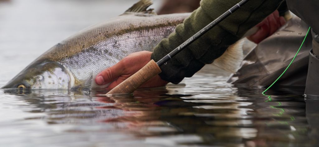Sage R8 Core Fly Rod review: rod with rainbow trout release