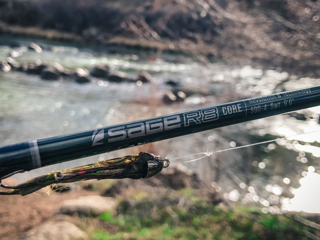 Sage R8 Core Fly Rod and sculpzilla streamer on the Animas River