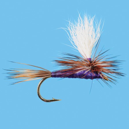 Purple Parachute Adams - Duranglers Fly Fishing Shop & Guides