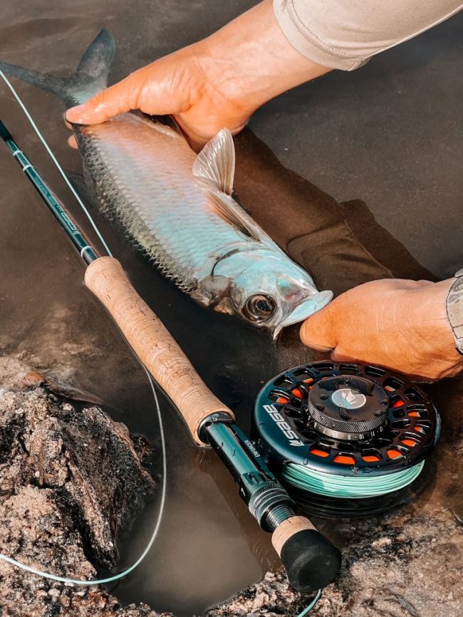 https://duranglers.com/wp-content/uploads/2023/05/Sage-Salt-R8-fly-rod-review-and-Enforcer-with-tarpon-650x866.jpg