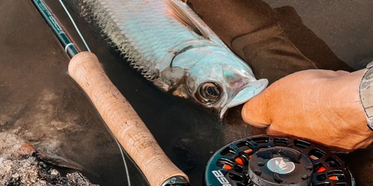 These rods/reel any good? How could they be used? : r/flyfishing