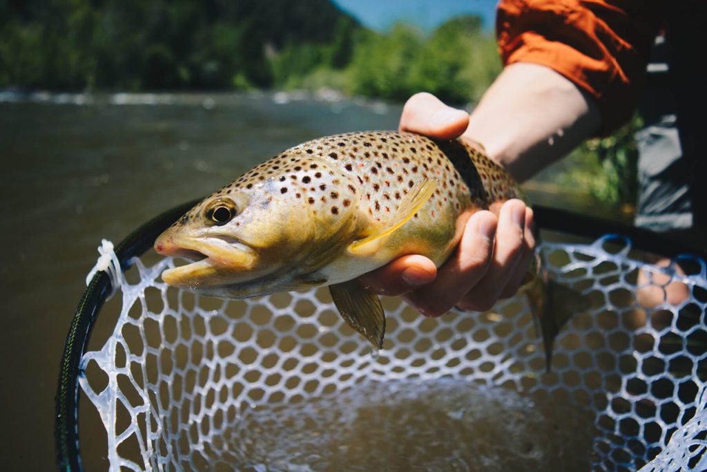 Five Things Your Next Fly Fishing Pack Needs To Have - Online Shopping