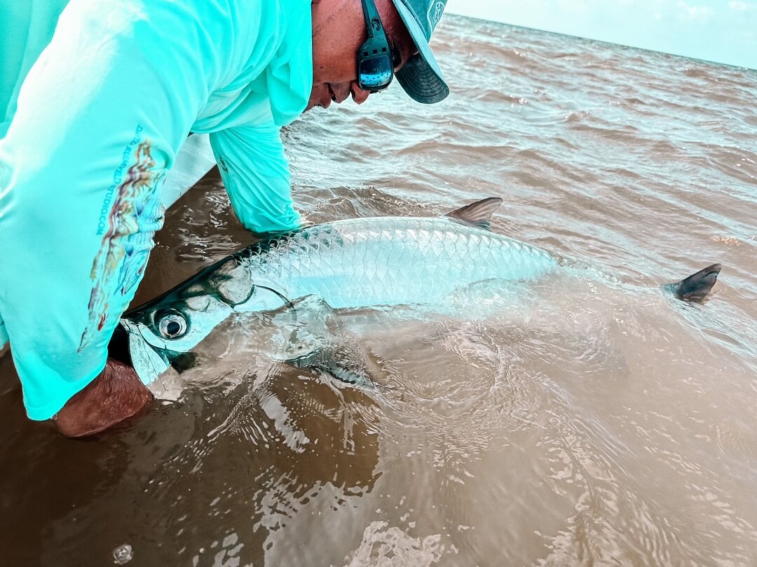 Blue Bonefish Belize George 60 lb tarpon Blue Bonefish, Ambergris Caye Fly Fishing-Belize 2024 Trip Report