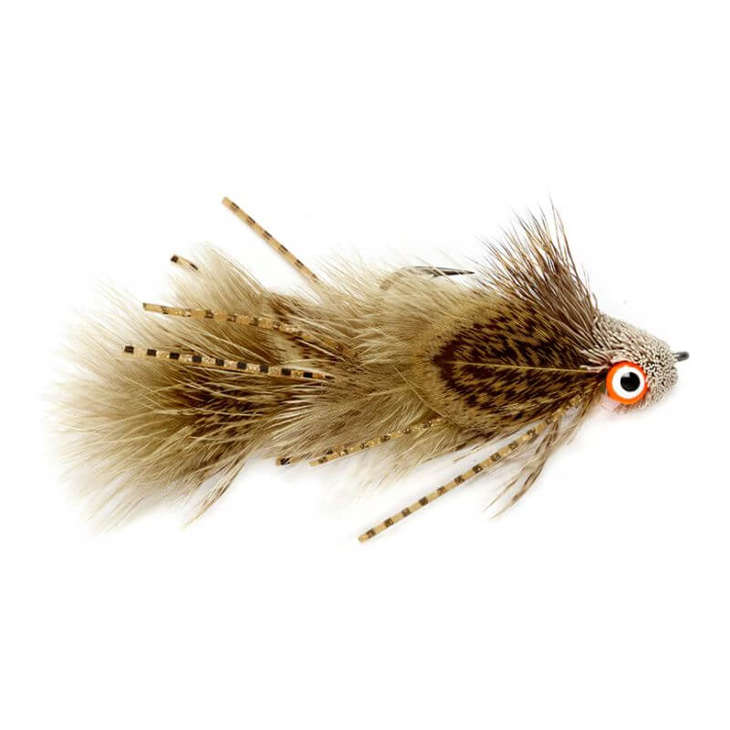 Bank Robber Sculpin